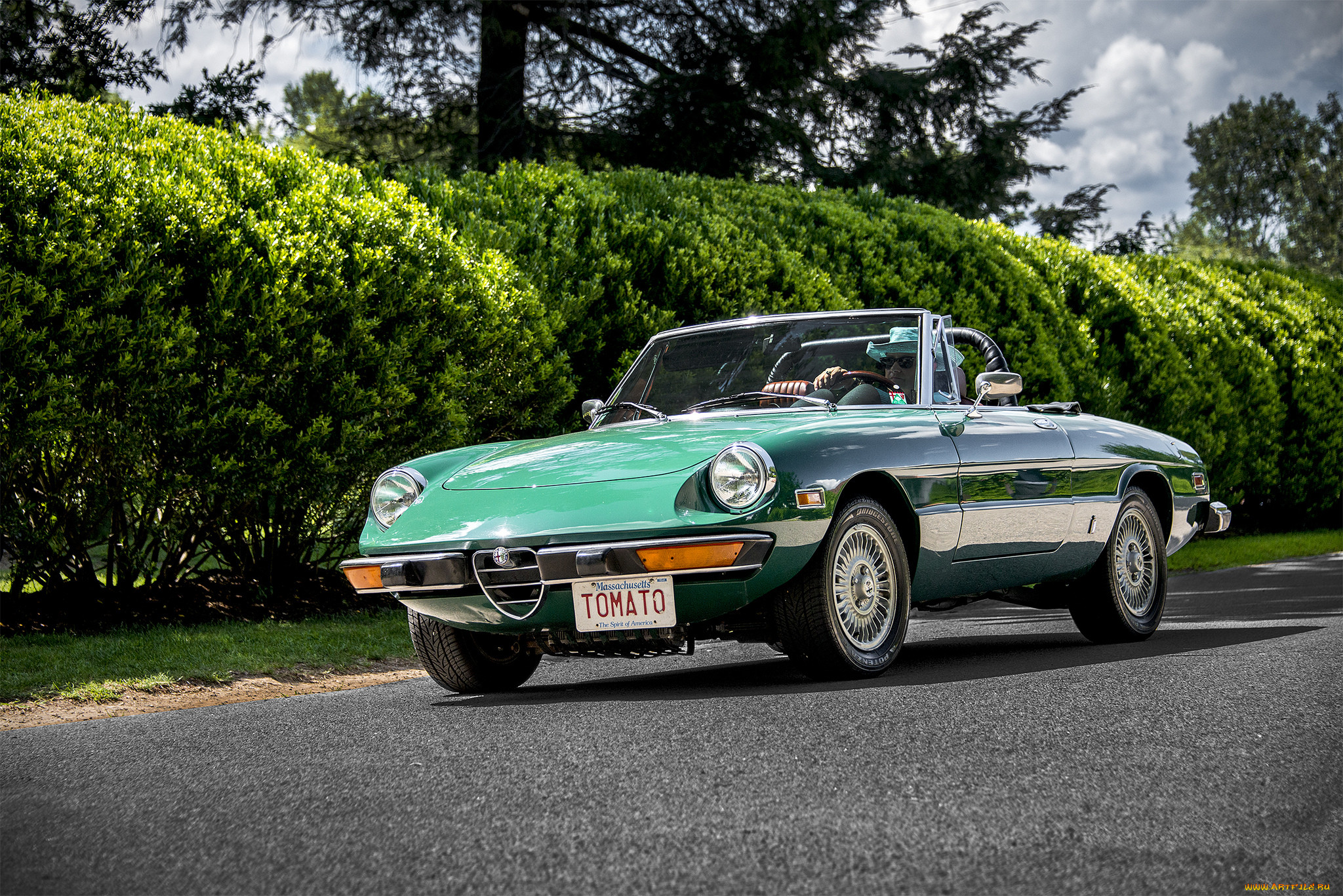 alfa romeo spider, , alfa romeo, , , 